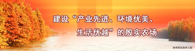 澳门新葡京线上平台