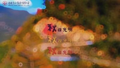 澳门新葡京线上平台