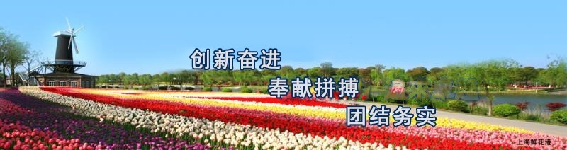 澳门新葡京线上平台