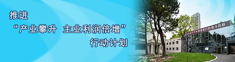 澳门新葡京线上平台